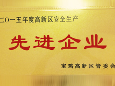 2015^(q)ȫaMI(y)